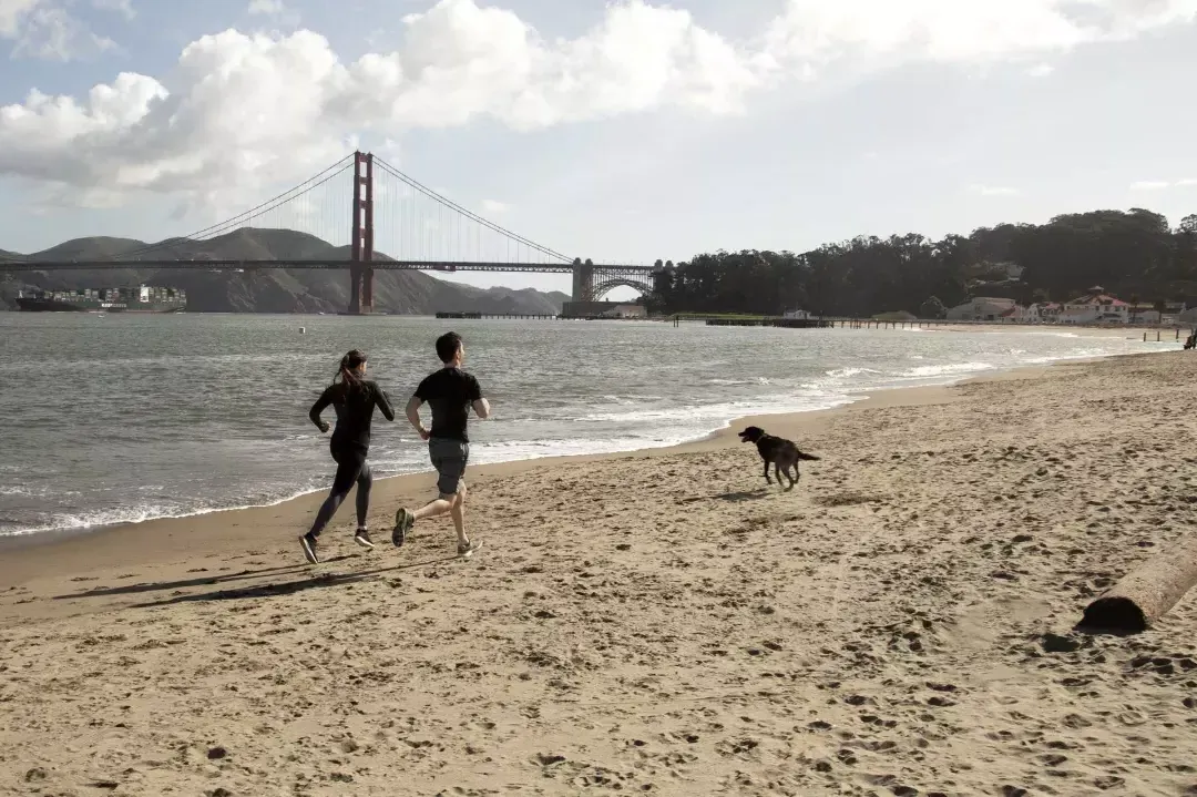 Läufer auf Crissy Field